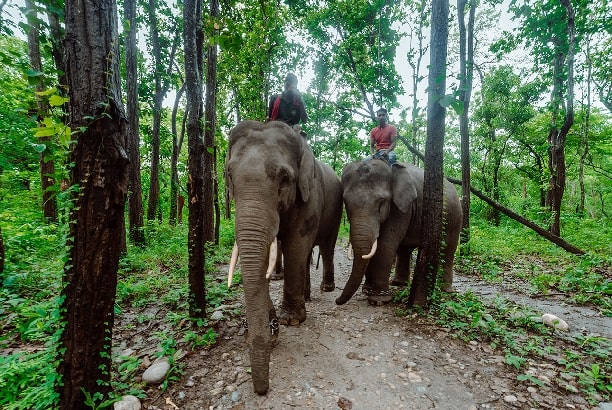 Bihar Tourism