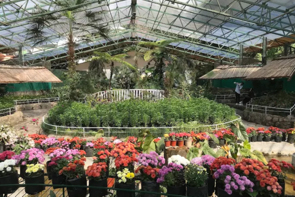 Flower Exhibition Centre - Ridge Park Gangtok Tour Package from Patna 
